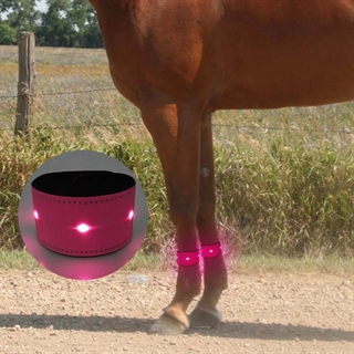 LED benbånd til heste-lyserød